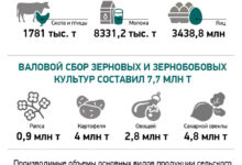 Photo of Производство сельскохозяйственной продукции | Новости Беларуси|БелТА