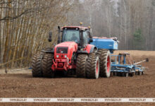 Photo of Early spring sowing in full swing | Belarus News | Belarusian news | Belarus today | news in Belarus | Minsk news | BELTA