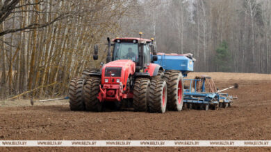 Photo of Early spring sowing in full swing | Belarus News | Belarusian news | Belarus today | news in Belarus | Minsk news | BELTA