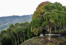 Photo of ‘Mountain of enlightenment’ in Indonesia  | In Pictures | Belarus News | Belarusian news | Belarus today | news in Belarus | Minsk news | BELTA