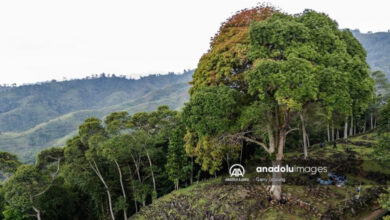 Photo of ‘Mountain of enlightenment’ in Indonesia  | In Pictures | Belarus News | Belarusian news | Belarus today | news in Belarus | Minsk news | BELTA