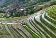 Photo of Longji Terraced Fields | In Pictures | Belarus News | Belarusian news | Belarus today | news in Belarus | Minsk news | BELTA