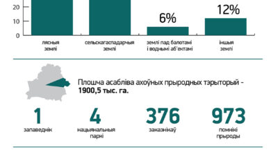 Photo of Дзень аховы навакольнага асяроддзя |