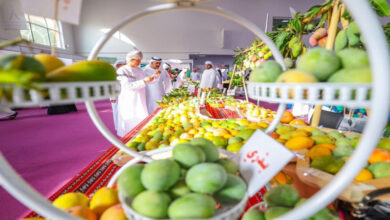 Photo of Sharjah Chamber finalises preparations for 3rd annual Mango Festival 2024 at Expo Khor Fakkan | Partners | Belarus News | Belarusian news | Belarus today | news in Belarus | Minsk news | BELTA