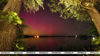 Photo of Rare display of Northern Lights and Perseid in Belarus | In Pictures | Belarus News | Belarusian news | Belarus today | news in Belarus | Minsk news | BELTA