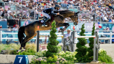 Photo of UAE riders to compete in individual Paris Olympics showjumping event today | Partners | Belarus News | Belarusian news | Belarus today | news in Belarus | Minsk news | BELTA