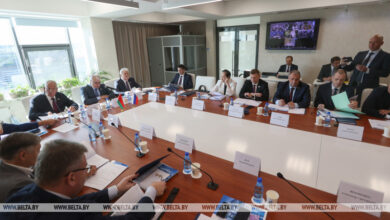 Photo of Parliamentary event in Great Stone park 
  | Belarus News | Belarusian news | Belarus today | news in Belarus | Minsk news | BELTA