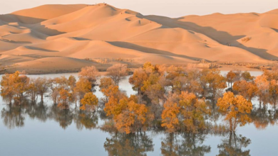 Photo of Autumn scenery on China’s Huludao  | In Pictures | Belarus News | Belarusian news | Belarus today | news in Belarus | Minsk news | BELTA