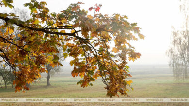 Photo of Early morning landscape  | Belarus News | Belarusian news | Belarus today | news in Belarus | Minsk news | BELTA