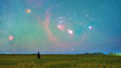 Photo of Starry sky above paddy fields in China | In Pictures | Belarus News | Belarusian news | Belarus today | news in Belarus | Minsk news | BELTA